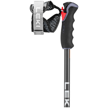 Bastones de esquí alpino Leki Peak Vario 3D