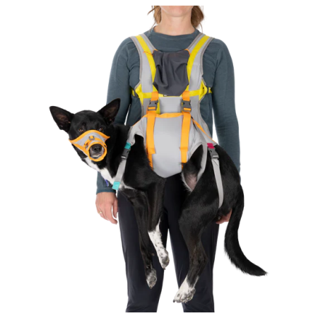 Arnés para perro Ruffwear BackTrak™ Dog Evacuation Kit gris/naranja Cloudburst Gray