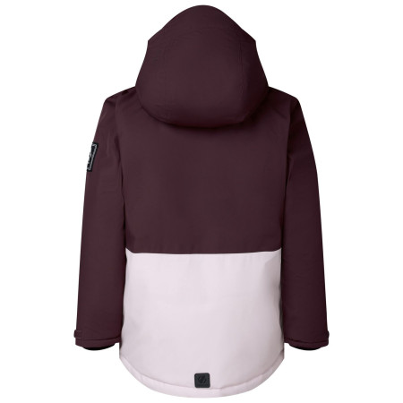 Chaqueta para niños Dare 2b Wing It Jacket Hucklbr/PkHz
