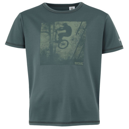 Camiseta para niños Regatta Alvarado IX