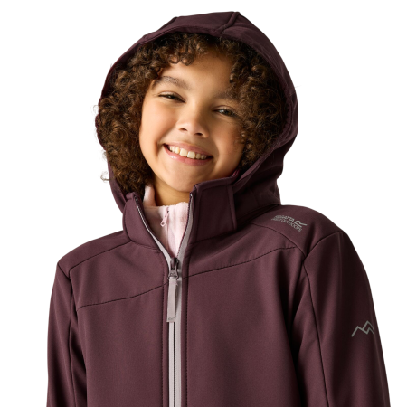 Chaqueta softshell para niños Regatta Haydenbury Fig
