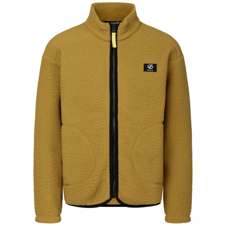 Sudadera para niños Dare 2b Zesty II Fleece Wood Brown marrón Wood Brown
