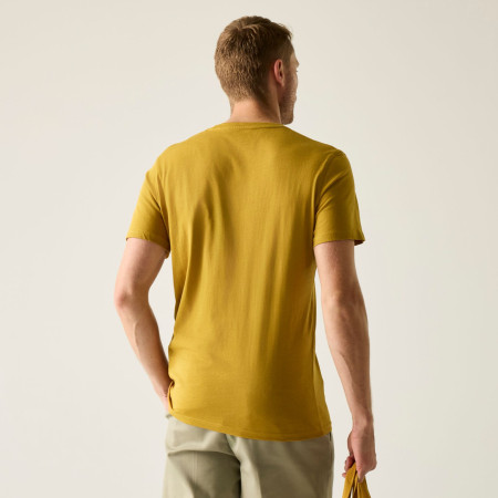 Camiseta de hombre Regatta Breezed