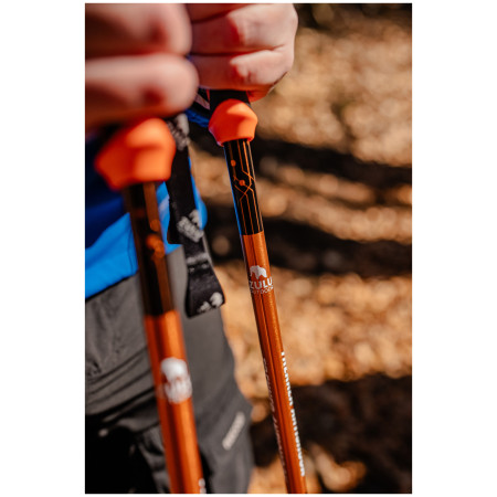 Bastones de senderismo Zulu Trekker Antishock