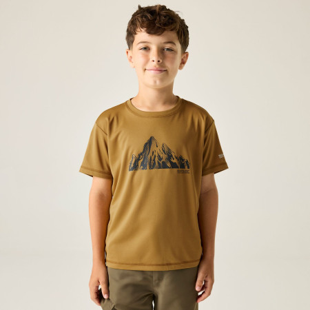 Camiseta para niños Regatta Alvarado Wood Brown