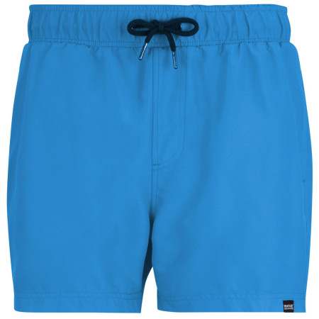Bañador de hombre Regatta Mawson Swim Shorts III