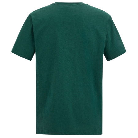 Camiseta de hombre Regatta Rendro