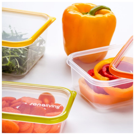 Caja de alimentos Omada Sanaliving Box Set 3x 19x14x9cm/1,3L