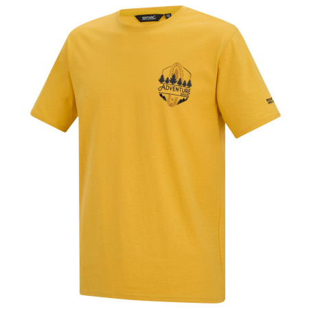 Camiseta de hombre Regatta Cline IX amarillo CeylonYellow