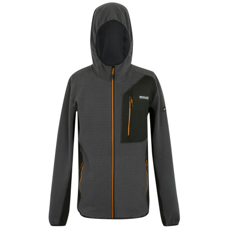 Sudadera de hombre Regatta Lakewright gris Ash/Black