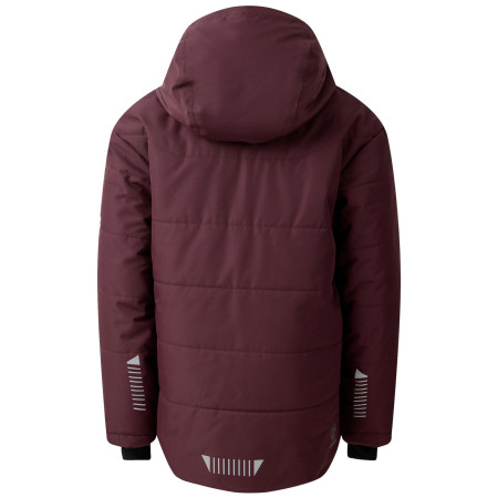 Chaqueta de invierno para niños Dare 2b Explorer Jacket