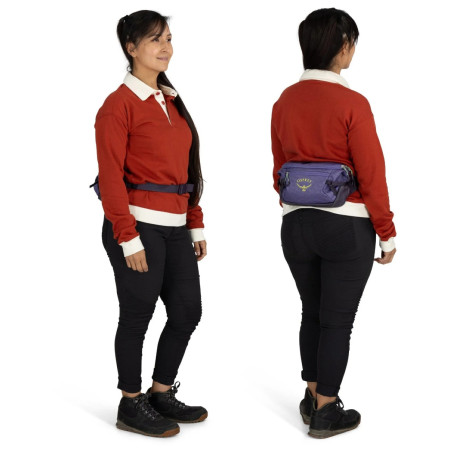 Riñonera Osprey Transporter Waist