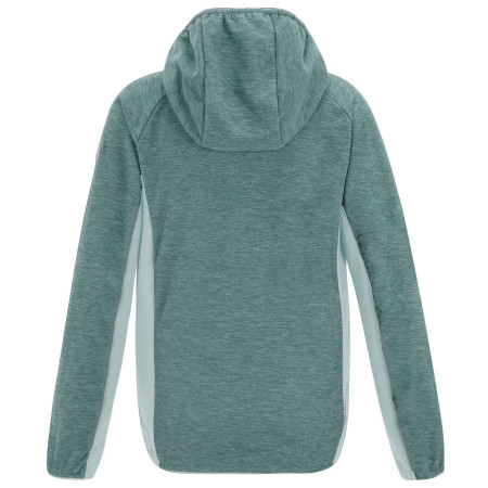 Sudadera para niños Regatta Skylar IvyMossOMist