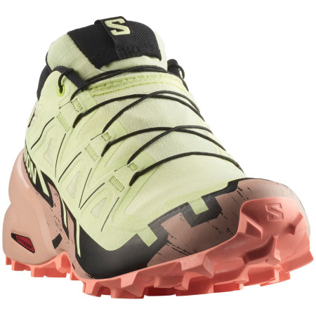 Calzado de mujer Salomon Speedcross 6 Gore-Tex