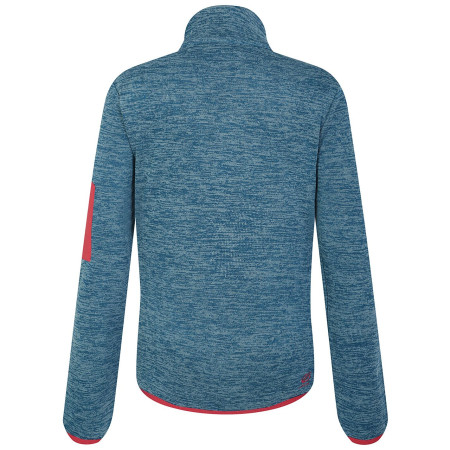 Sudadera de mujer Dare 2b W Torrek Fleece