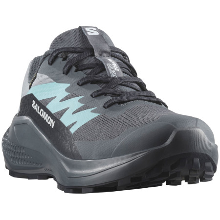 Calzado de mujer Salomon Alphaglide Gore-Tex