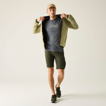 Pantalones cortos de hombre Regatta Bendrick Shorts