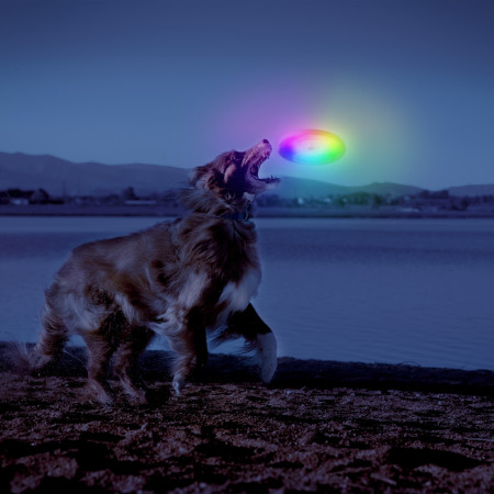 Juguete para perro Nite Ize Flashflight® Dog Discuit™ LED Flying Disc