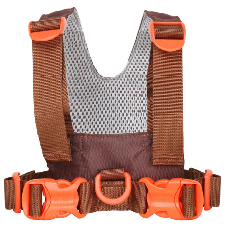 Correa para niños LittleLife Toddler Reins Dinosaur