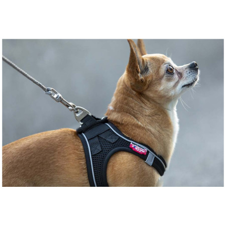 Correa para perro Curli Ultra Strong Pocket Leash