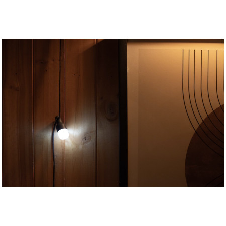 Juego de luces BioLite Site Lights