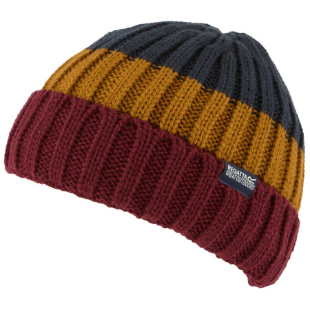 Gorro de invierno Regatta Davion Hat V