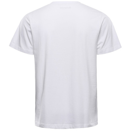 Camiseta de hombre Alpine Pro Morol