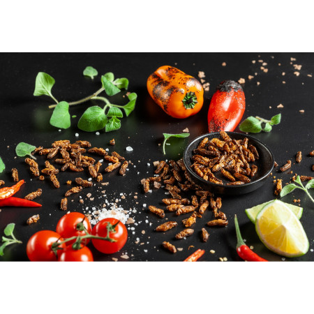 Grillos comestibles Sens Grillos crujientes y asados Guindilla y lima