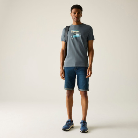 Camiseta de hombre Regatta Breezed