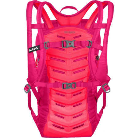 Mochila de carrera Salewa Ultra Train 14 BP