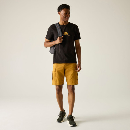 Camiseta de hombre Regatta Cline IX