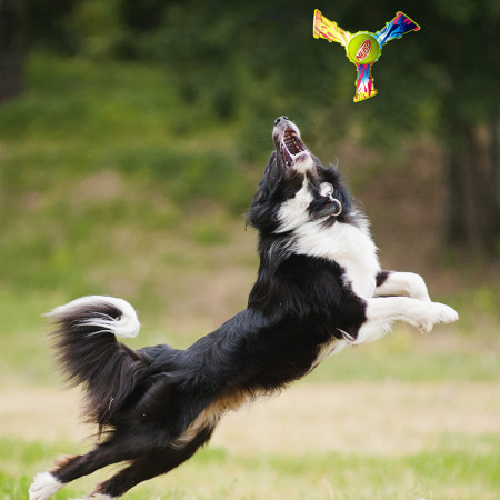 Juguete para perro Nerf Dog Color Grip Tri Flyer 20 cm