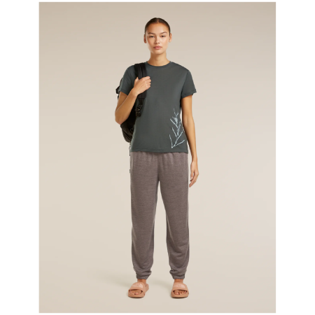 Camiseta funcional de mujer Icebreaker Merino Blend Core SS Tee Panax