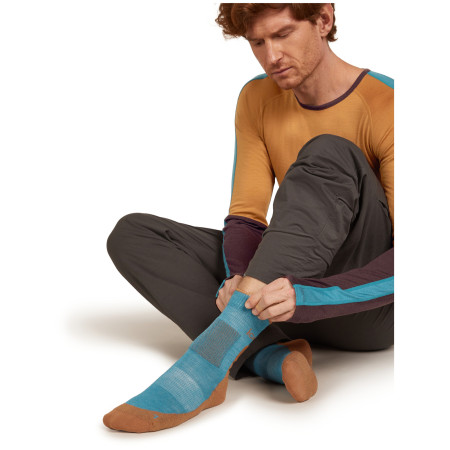 Calcetines térmicos de hombre Icebreaker Men Merino Hike+ Heavy Crew