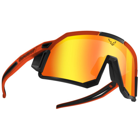 Gafas de sol Dynafit Sky Evo Sunglasses