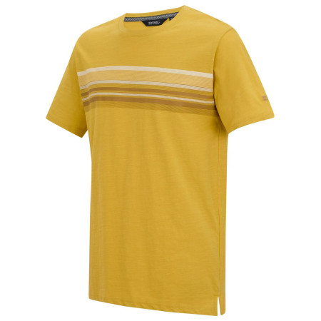 Camiseta de hombre Regatta Rendro