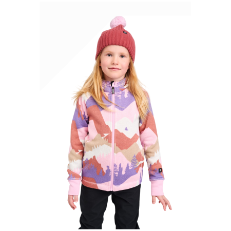 Sudadera funcional para niños Reima Northern Grey Pink