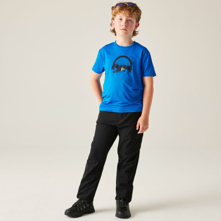 Pantalones para niños Dare 2b Rapid Trouser Black
