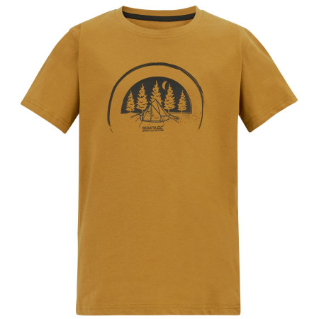 Camiseta para niños Regatta Bosley Wood Brown marrón Wood Brown