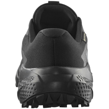 Calzado de hombre Salomon Alphaglide Gore-Tex