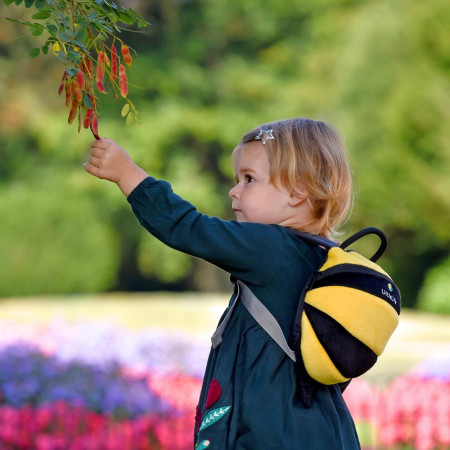 Mochila para niños LittleLife Toddler Bee