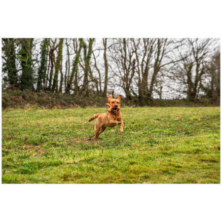 Juguete para perro Mountain Paws Rubber Throw Dog Toy