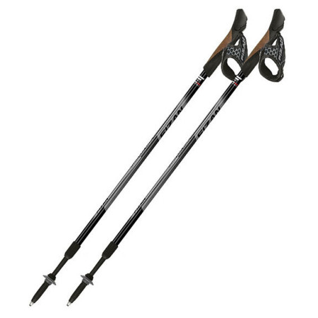 Bastones Fizan NW Speed