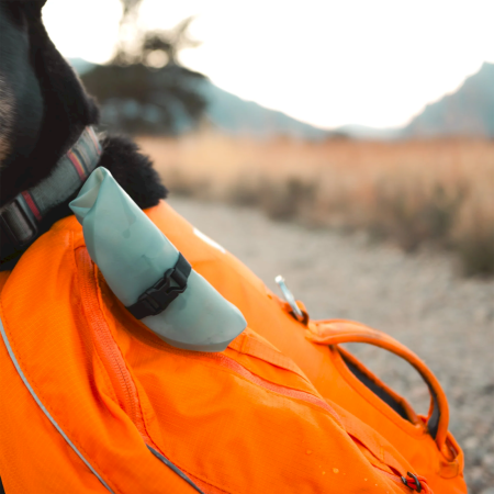 Bol plegable Hydrapak Rover Dog Bowl