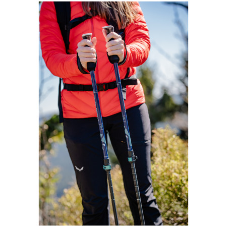 Bastones de senderismo Warg Explorer Antishock