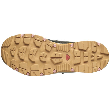 Calzado de mujer Salomon Techamphibian 5