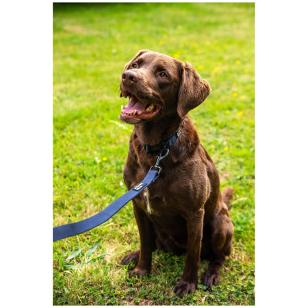 Correa para perro Mountain Paws Extra Tough Dog Lead