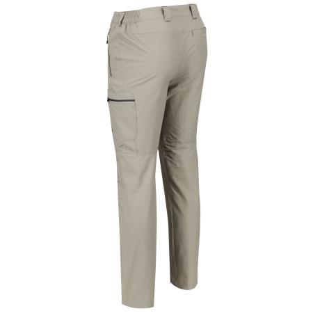 Pantalones de hombre Regatta Highton Trs Long