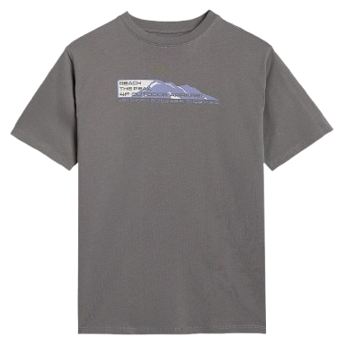 Camiseta para niños 4F Tshirt M2409 gris MIDDLE GREY
