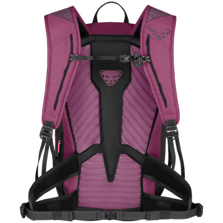 Mochila de senderismo para mujer Dynafit Transalper 22 Backpack W